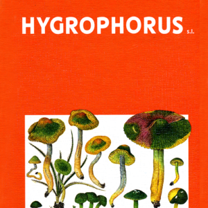 Fungi Europaei 6