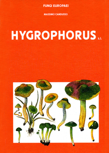 Fungi Europaei 6