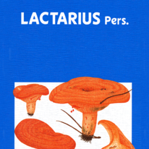 Fungi Europaei 7