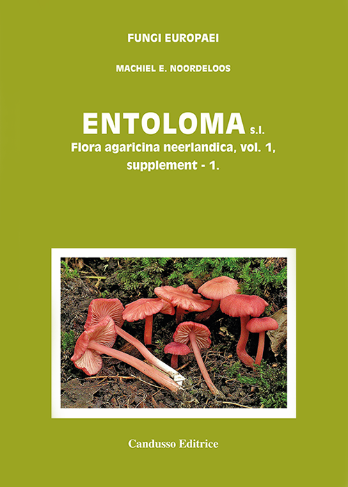 fe_5b_entoloma_suppl_2-4