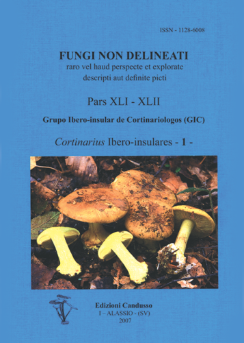 Fungi non delineati 41-42