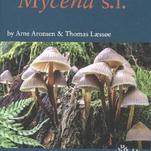 Fungi of Northern Europe – Volume 5