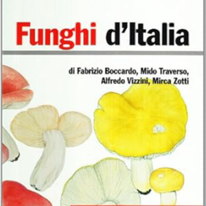 Funghi d’Italia