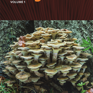 Fungi of Temperate Europe (2 voll.)