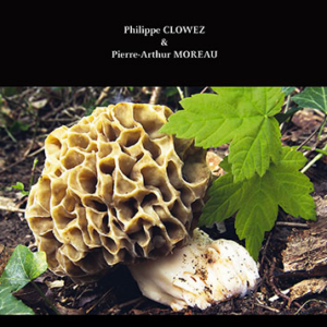 Morels of Europe