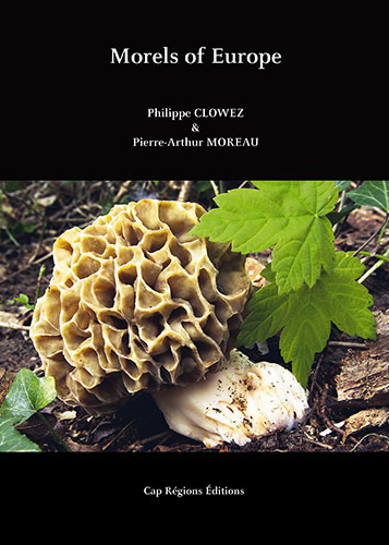 Morels of Europe