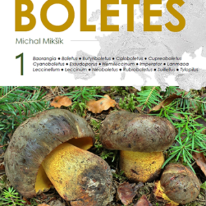 European Boletes 1