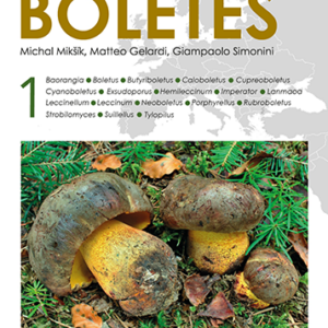 European Boletes 1