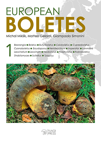 European Boletes 1