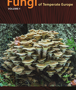 Fungi of Temperate Europe (2 voll.)