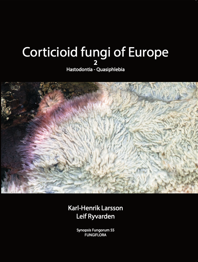 Screenshot 2026-04-18 alle 14.00.17