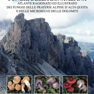 Funghi della zona alpina. Atlante ragionato ed illustrato dei funghi delle praterie alpine d’alta quota e delle microselve delle Dolomiti.