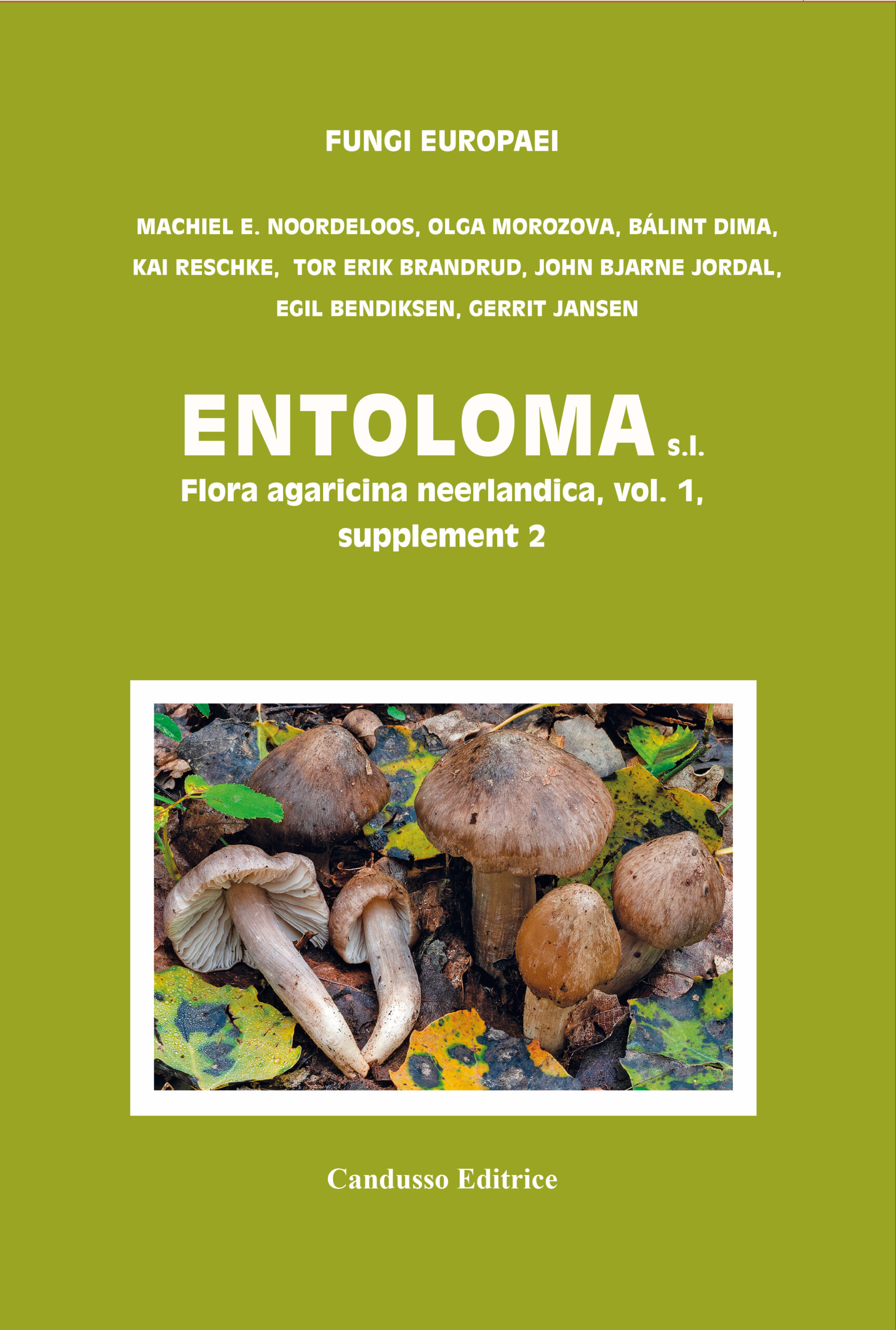 COVER-ENT5c per web