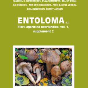 Entoloma s.l. 5c/Flora Agaricina Neerlandica vol. 1 suppl. 2.