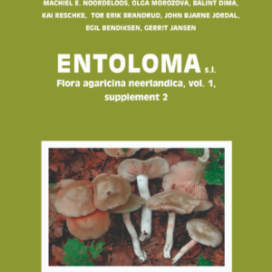 Entoloma s.l. 5c/Flora Agaricina Neerlandica vol. 1 suppl. 2.