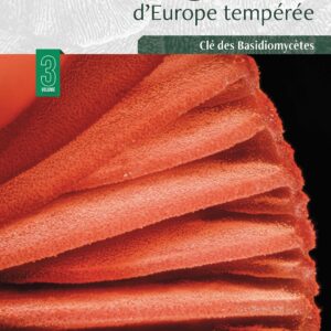 Les Champignons d’Europe tempérée